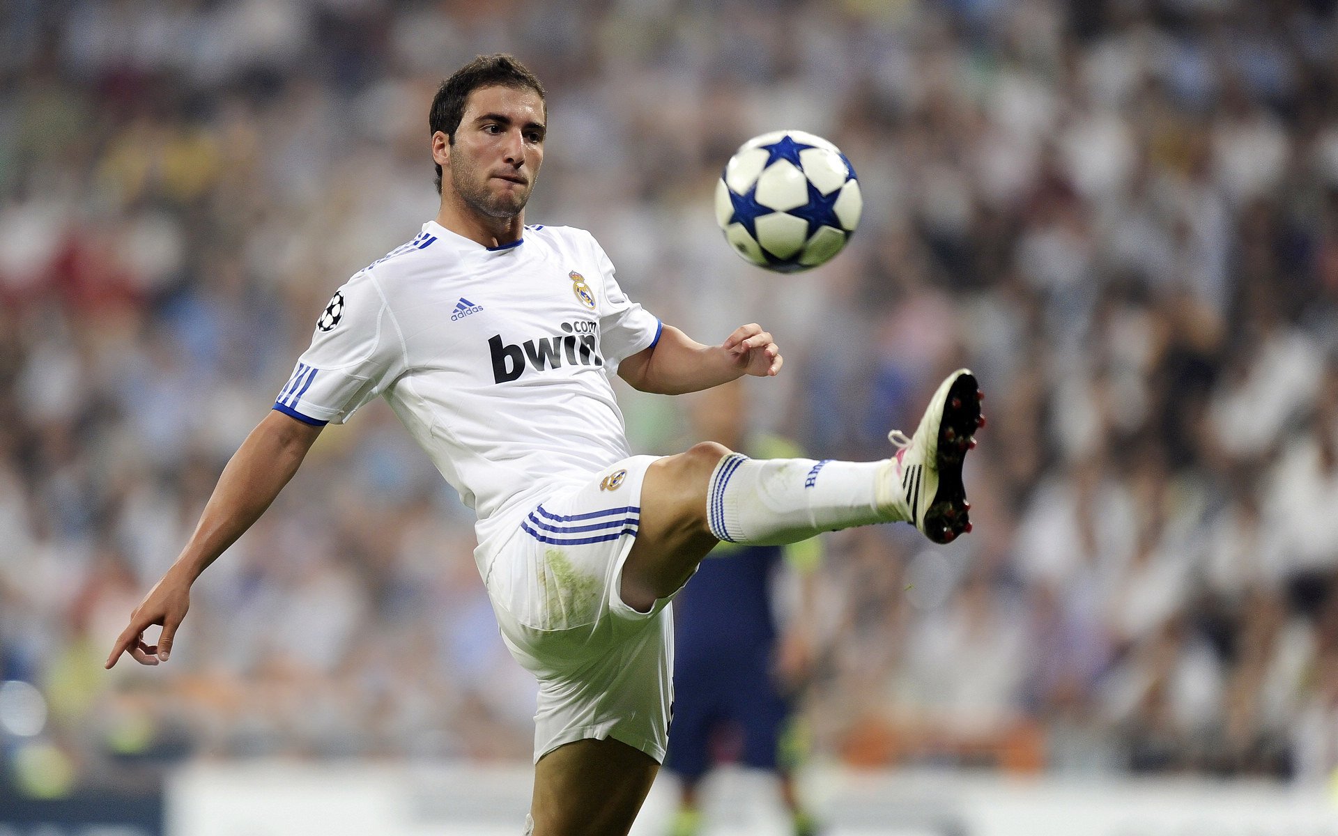 开云网页版-沉默的引擎,当托纳利将加勒比风暴驯化为精密仪器—2026世界杯F组,一场关于中场控制权的哲学胜利